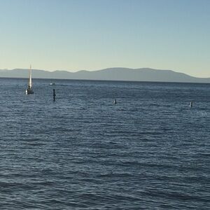 Meet your Posher, Breanne